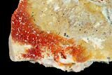 Red & Orange Vanadinite Crystals on Dolomite - Morocco #155414-1